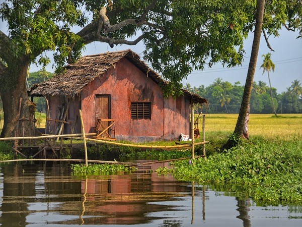 ഗവി