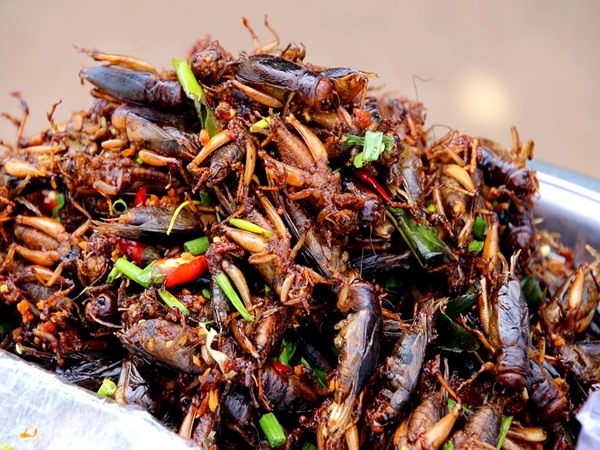 എന്തും കഴിക്കും
