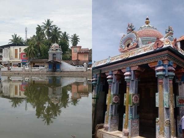 കാക്കയോടൊപ്പം