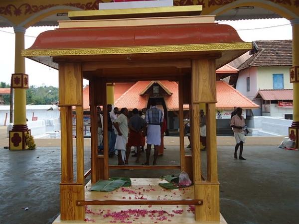 അരപ്പൊന്നാന