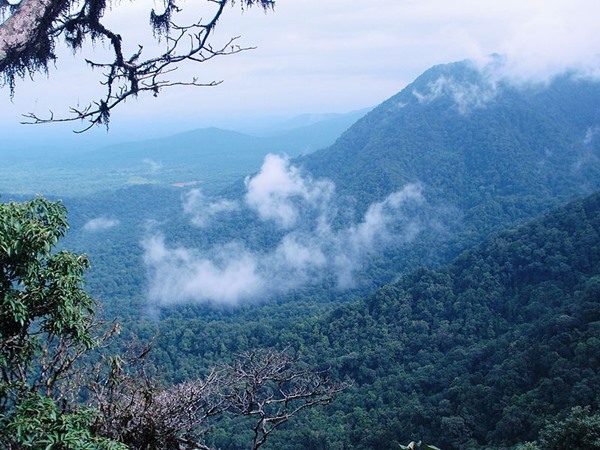 അഗുംബെ