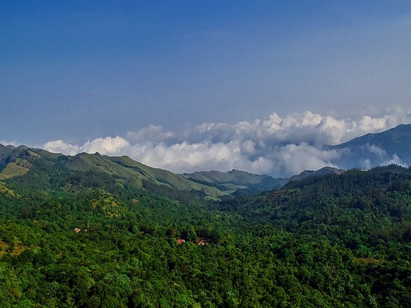 വയനാട്ടിലും കുടകിലുമായി!!