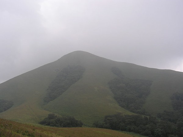 വാച്ച് ടവര്