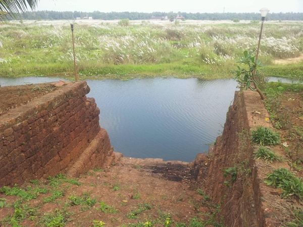 കാടിനുള്ളില്