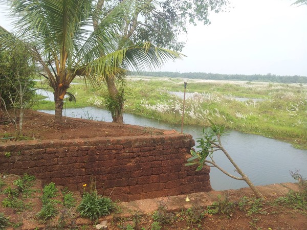 തിരുനാവായയുടെ ചരിത്രം