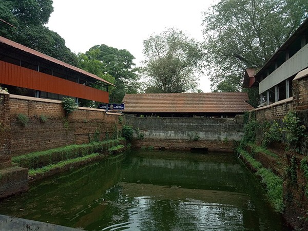 പവിഴമല്ലിത്തറ