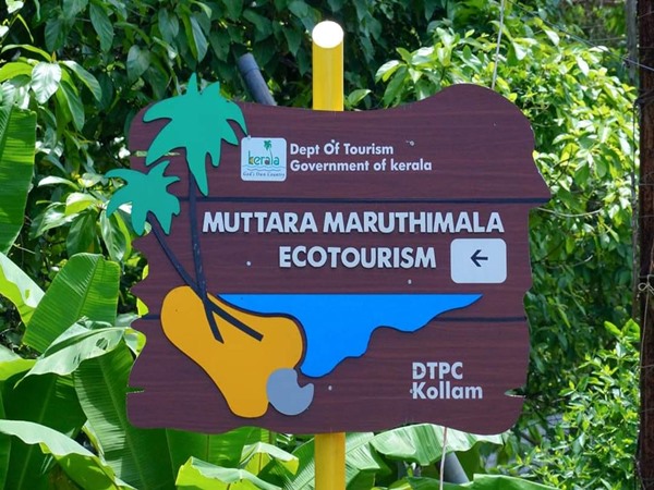 മരുതിമല