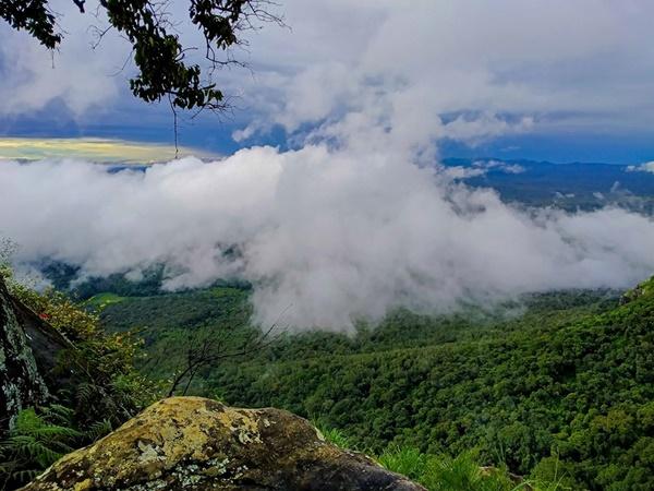 ഊട്ടി, തമിഴ്നാട്
