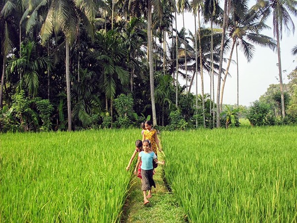 പാലക്കാട്