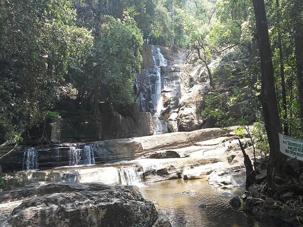 ട്രക്കിങ്ങ് പറുദീസ