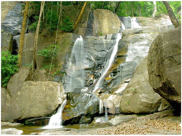 അനുമതി വേണം