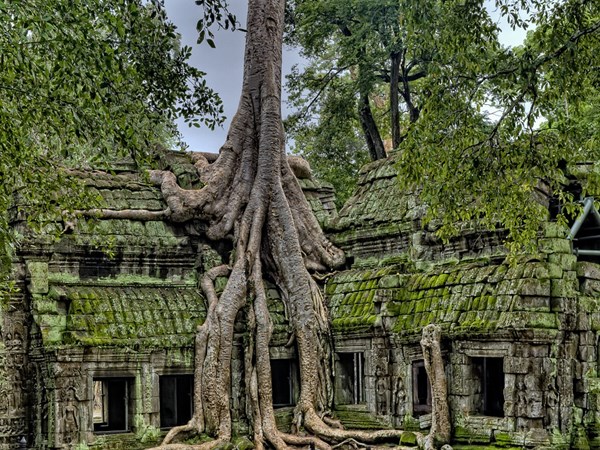 അംഗോര്വാട്ട്, കംബോഡിയ