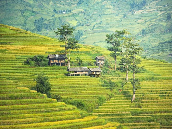 ദൈവങ്ങളുടെ നാട്