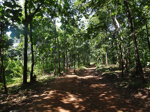 വാണ്ടലൂര് റിസര്വ്വ് ഫോറസ്റ്റ്