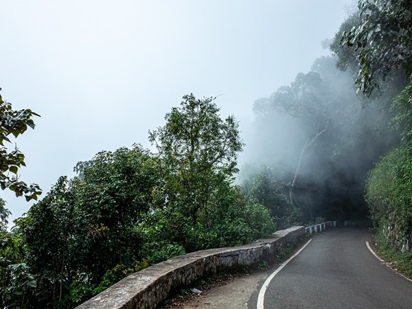 ooty ooty