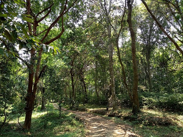 മീന്മുട്ടി വെള്ളച്ചാട്ടം യാത്ര