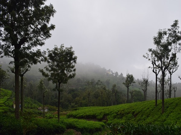 കൂനൂര്