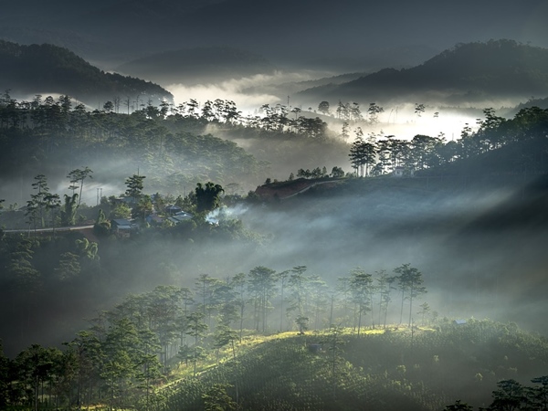 ooty ooty