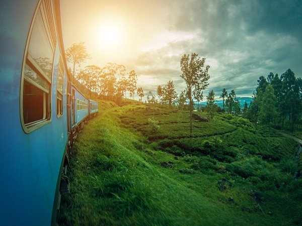 ആദ്യ രണ്ടാഴ്ച