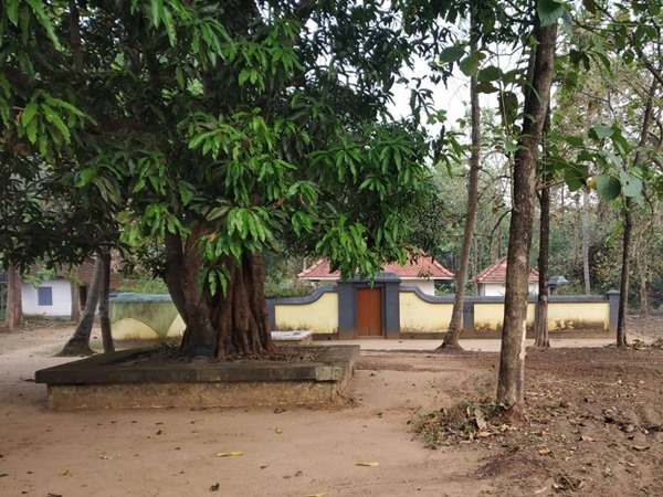 മീനമാസത്തിലെ പൂരം നാള്