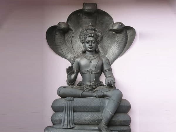 നാഗാരാധന