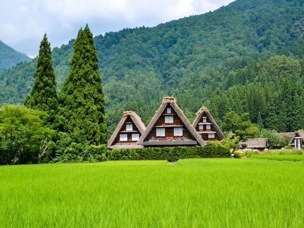 സീസണ് നോക്കാം