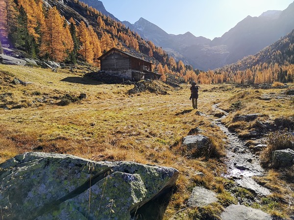 Trekking Trekking