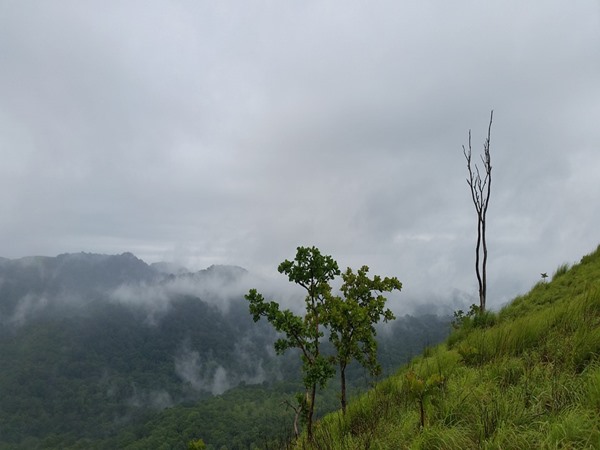 വണ്ണപ്പുറം