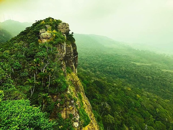 സിംഹരാജ ഫോറസ്റ്റ് റിസർവ്