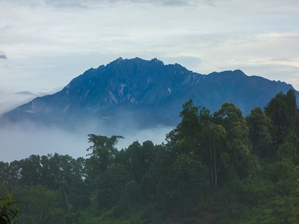 കിനബാലു നാഷണൽ പാർക്ക്