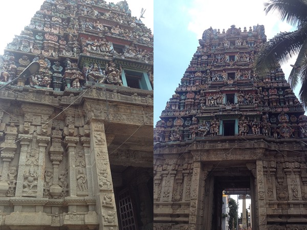 പാമ്പാട്ടി മുതല് രാവണന് വരെ