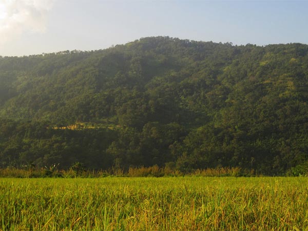 ദിസ്പൂര്
