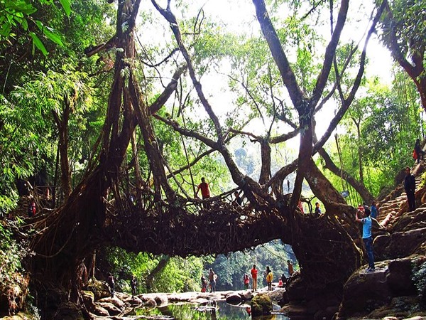 meghalaya meghalaya