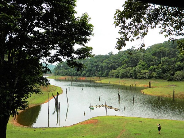 തേക്കടി