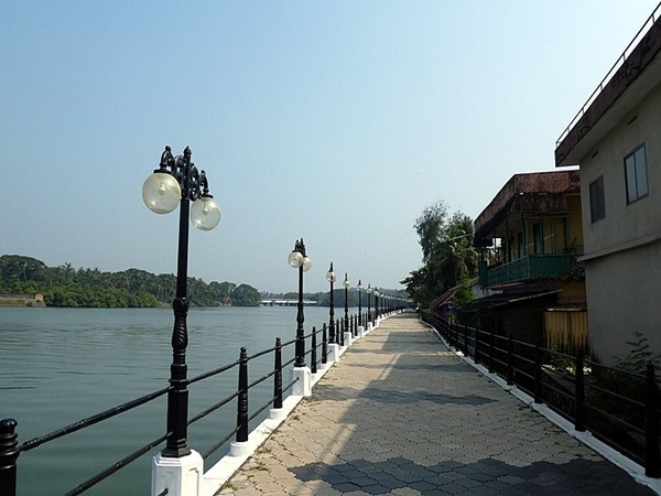 നടപ്പാത