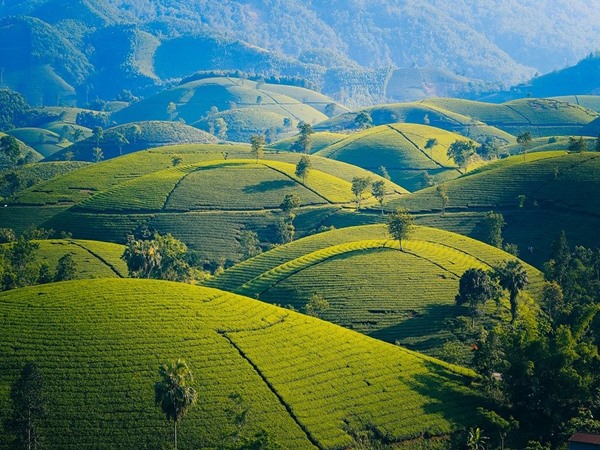 ദാരംഗ്