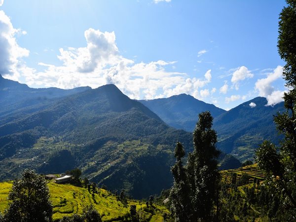 മോറി