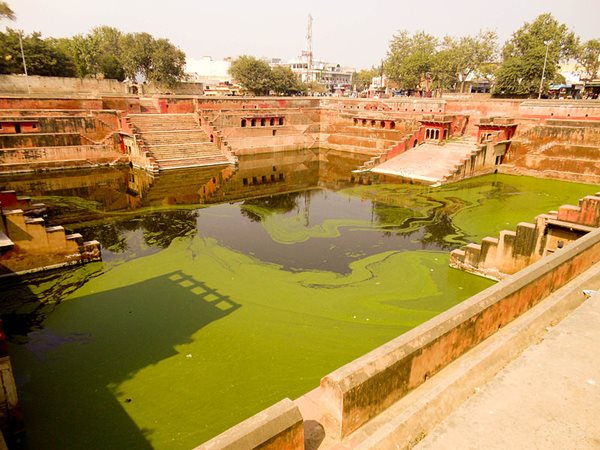 തടവറയ്ക്കു ചുറ്റിലും