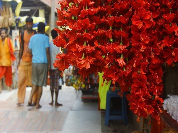 പ്രസാദത്തിന്റെ കഥ ഇങ്ങനെ