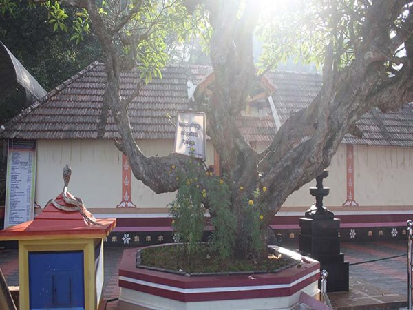 വെടിക്കെട്ടിനു വിലക്ക്