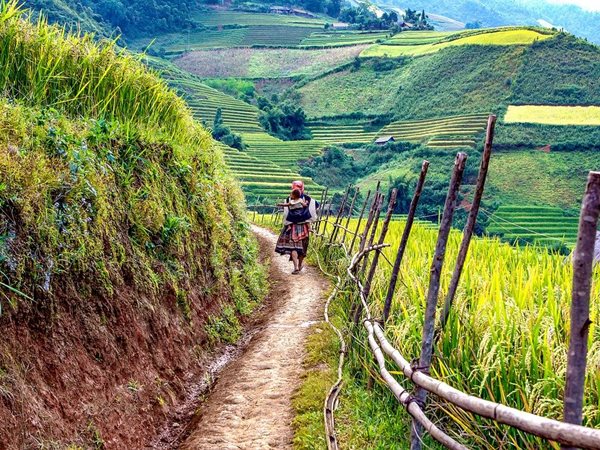 ഡുവോംഗ് ലാം ഗ്രാമം ഹനോയി