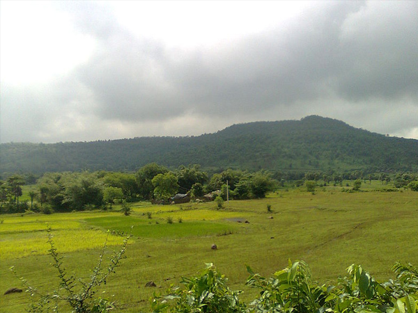 ഗോല്പട്ട ഫോറസ്റ്റ്