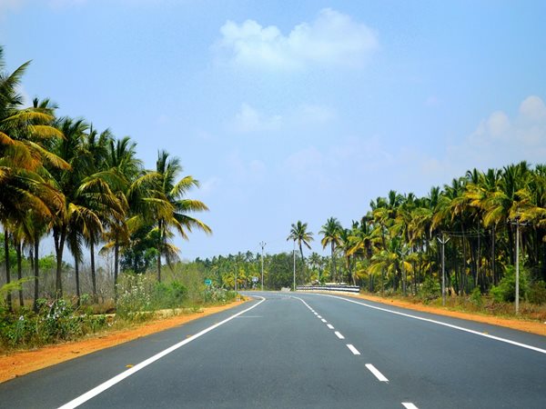 14 പ്രധാന പാലങ്ങൾ
