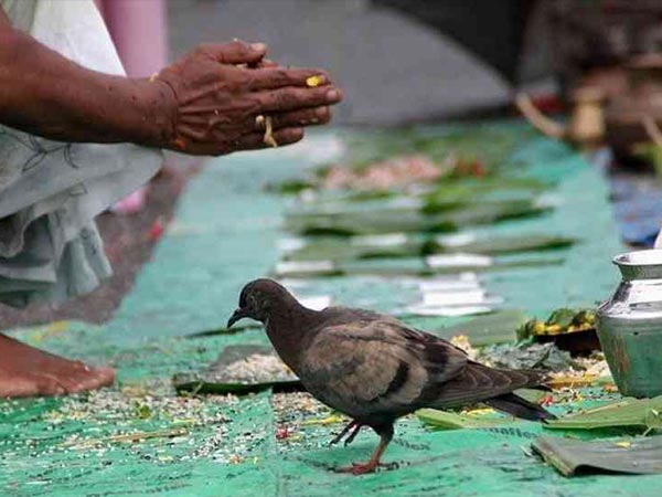 ത്രിമൂര്ത്തിസംഗമവും പിതൃതര്പ്പണവും