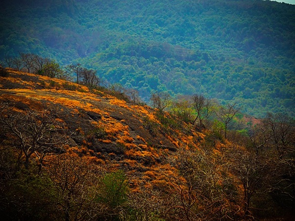 സഞ്ജയ് ഗാന്ധി ദേശീയോദ്യാനം