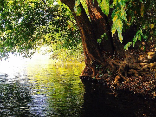 ഡണ്ടേലി വൈല്ഡ് ലൈഫ് സാങ്ച്വറി