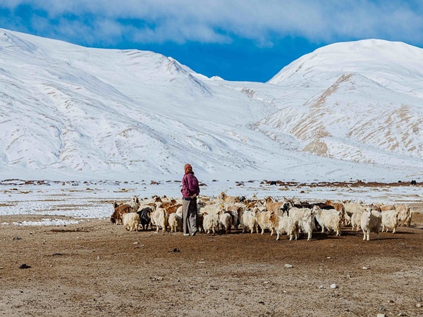 ladakh ladakh