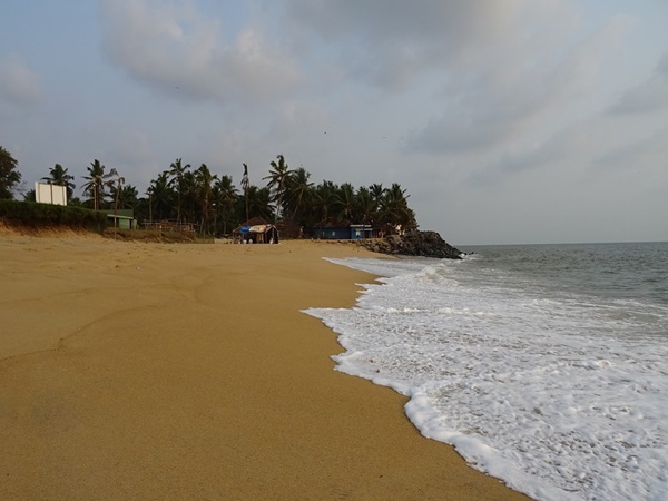 മംഗലാപുരം