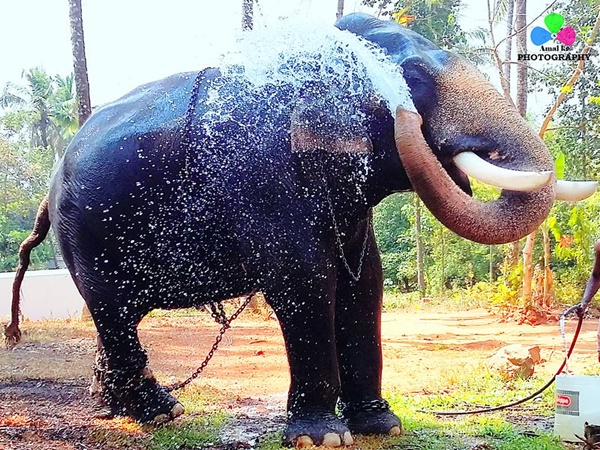 കിരാതമൂര്ത്തി