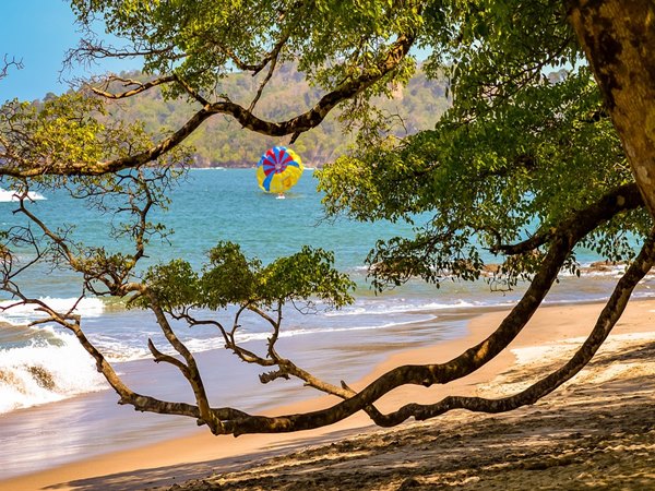 അന്പതിനായിരത്തിലധികം ജൈവവൈവിധ്യം